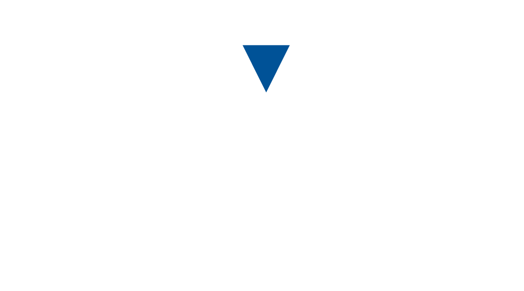 Platinum Wrapping Film