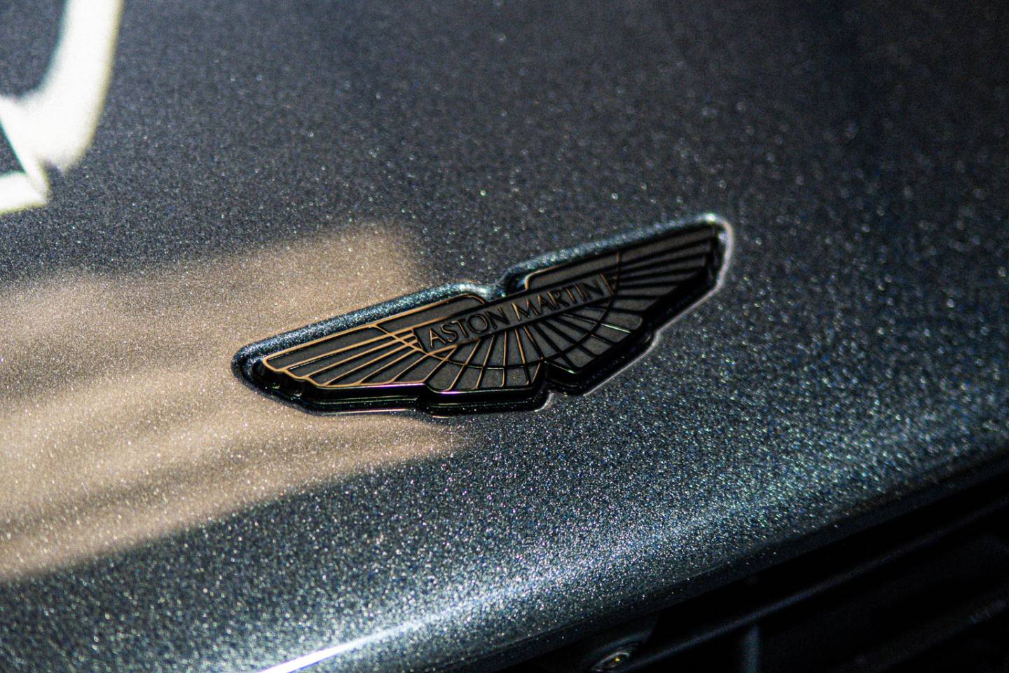 Aston Martin badge on grey bodywork